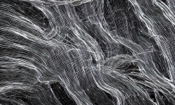 Featured image of post 마크다운 글쓰기 연습