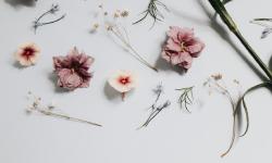 Featured image of post Emoji Support!